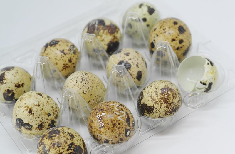 Protein-packed Meals
